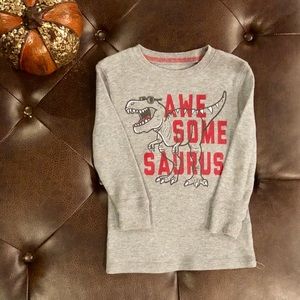 Boys Dinosaur Thermal